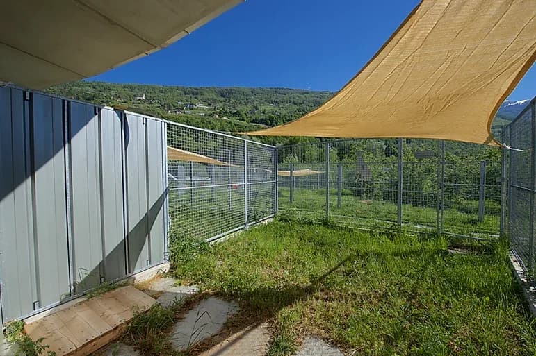 Une courette de la pension, ouverte sur les parcs